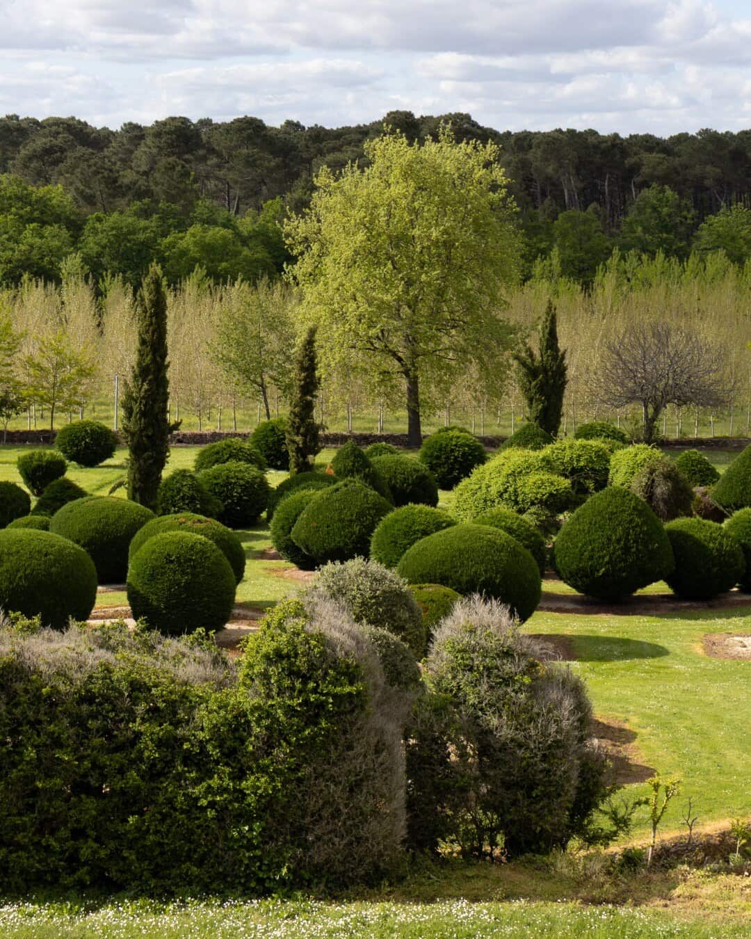 Topiaires et perspectives des jardins du Château de Malvirade